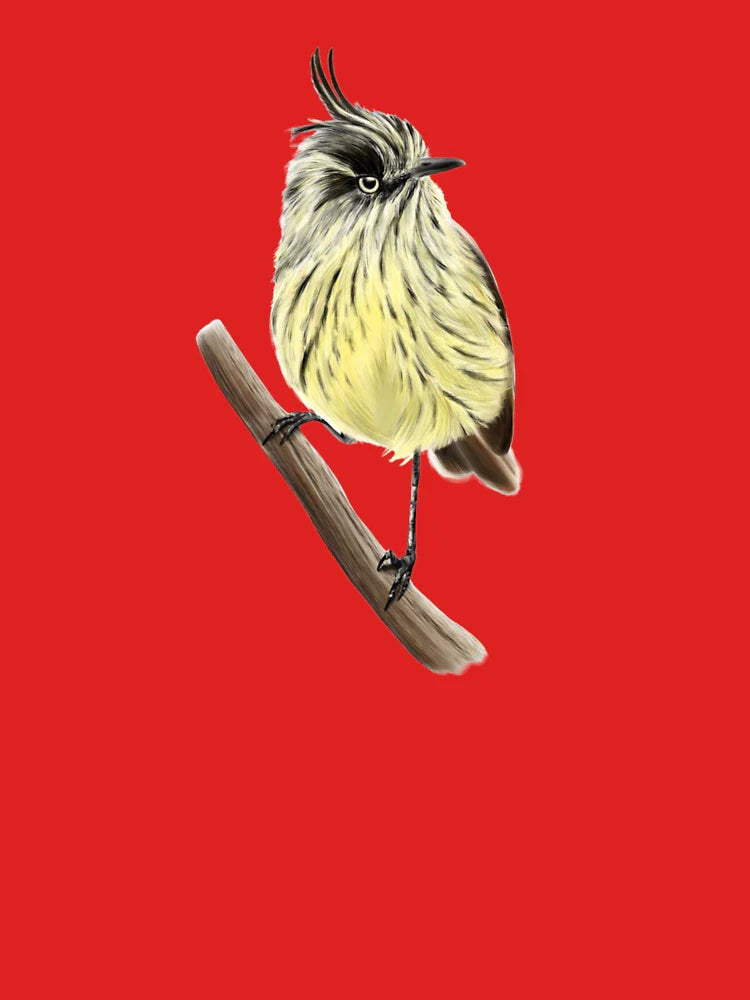 Cachudito, native Chilean bird Classic T-Shirt