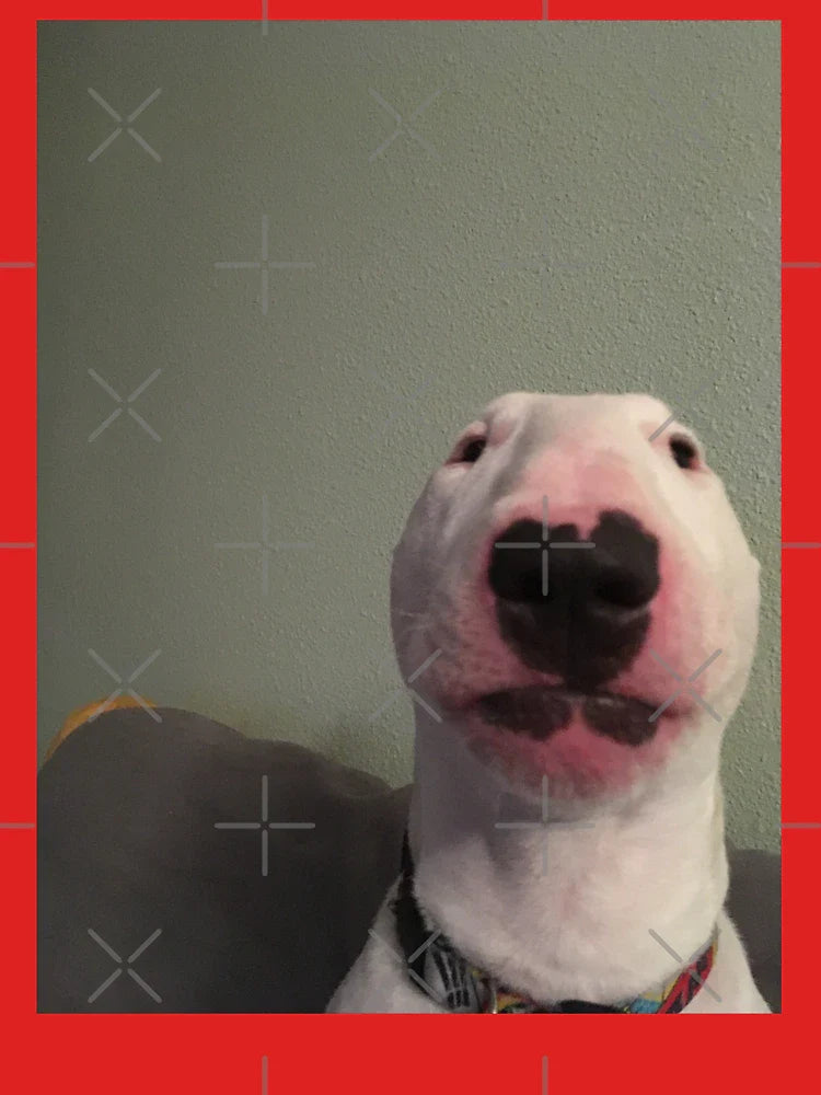 @PupperNelson: "Walter" Original Classic T-Shirt