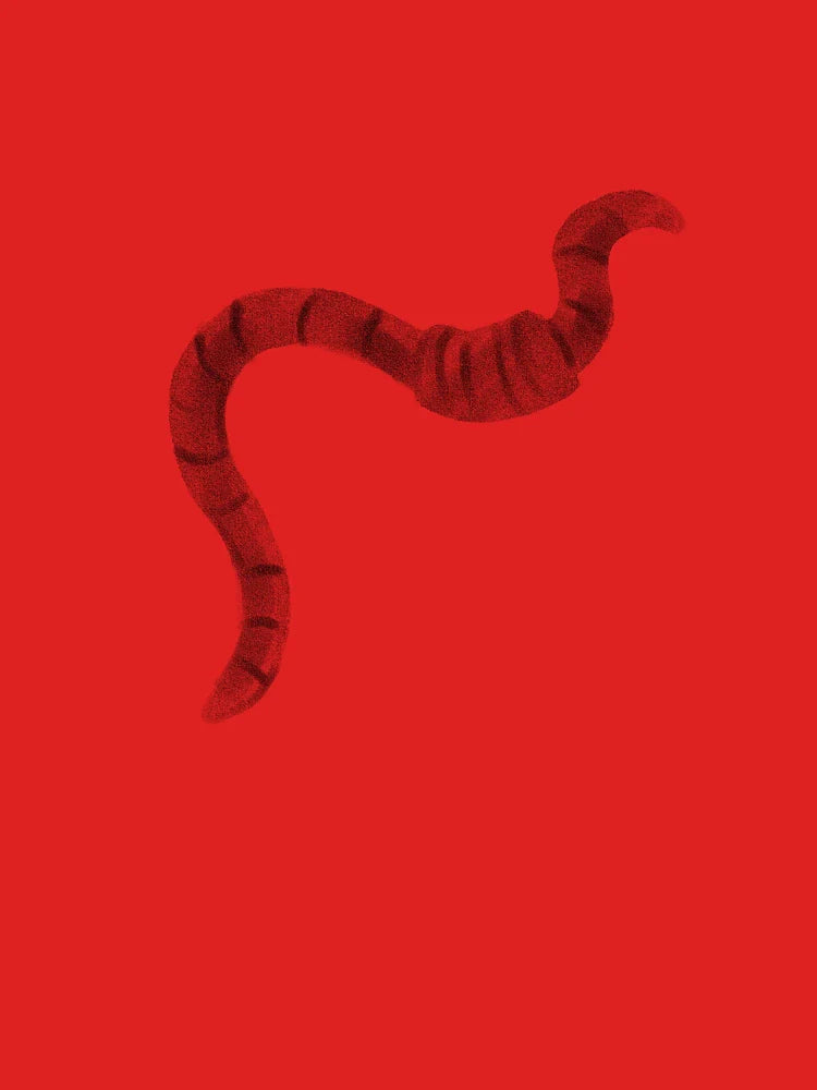 Wiggle Worm Classic T-Shirt