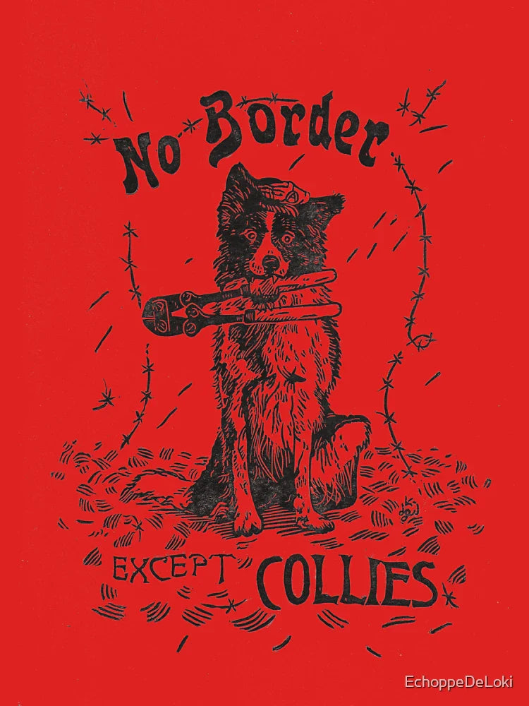 No Border except Collies Classic T-Shirt