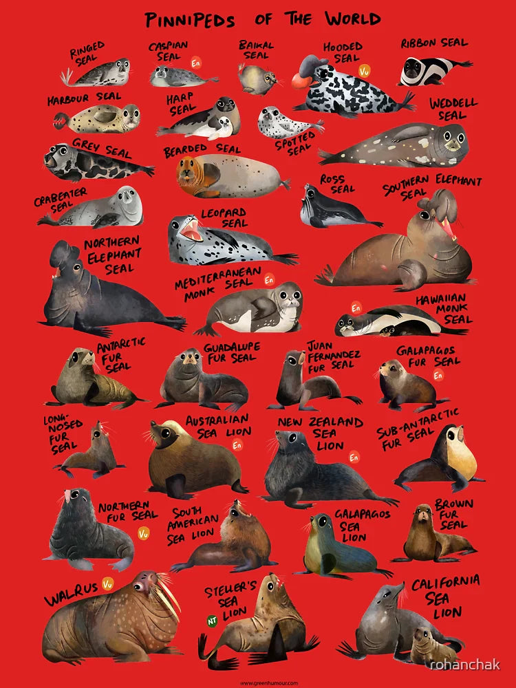 Pinnipeds of the World Classic T-Shirt