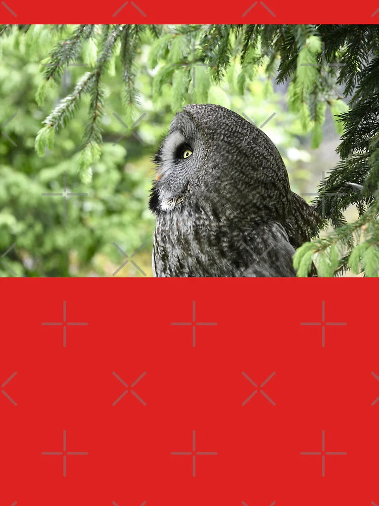 Great Grey Owl 5 / Swiss Artwork Photography Classic T-Shirt