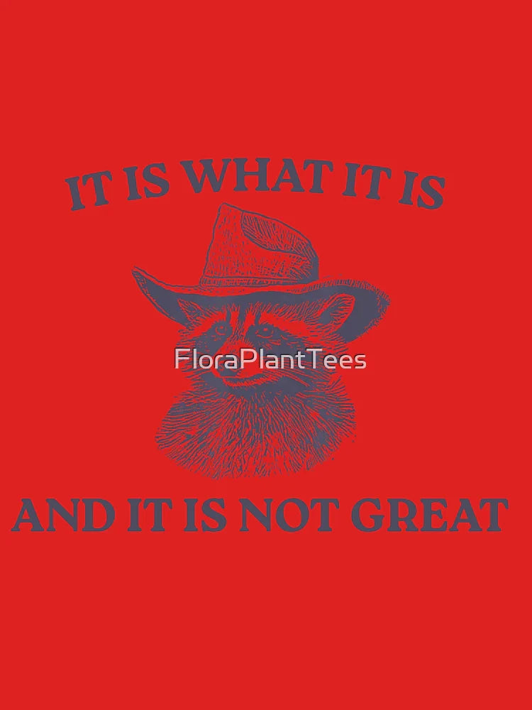 It Is What It Is And It Is Not Great, Memes Classic T-Shirt