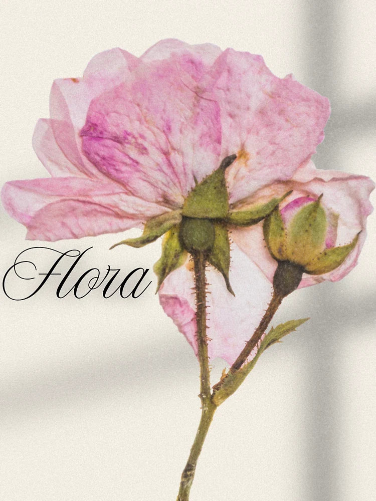 Soft Pink Rose - Delicate Flora Illustration Classic T-Shirt