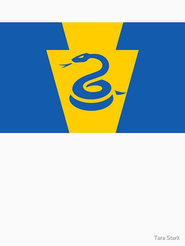 Philly Soccer Keystone Flag by Tara Stark
