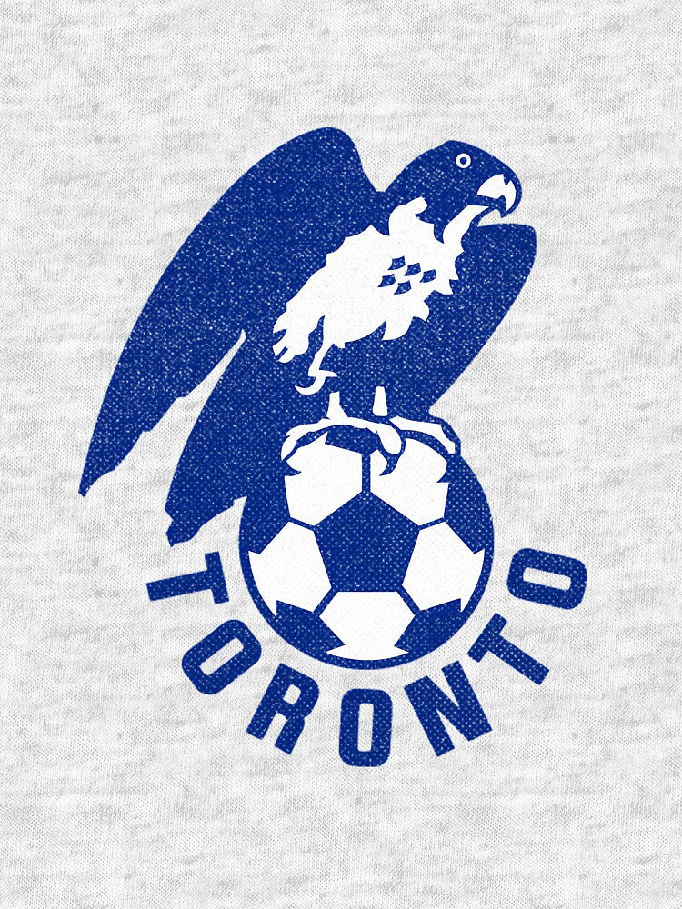 Defunct Toronto City Soccer by HeinzanoRoder