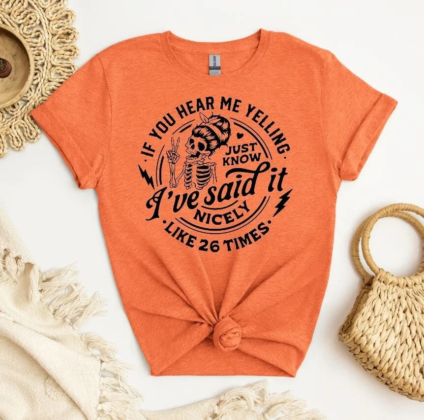 Unisex Graphic Tee, I've Said It Nicely  Shirt, Sarcastic Unisex Shirt