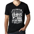 Men's Graphic T-Shirt V Neck Original Parts (Mostly) Aged to Perfection 2002