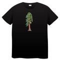 sequoia men's basic t-shirt