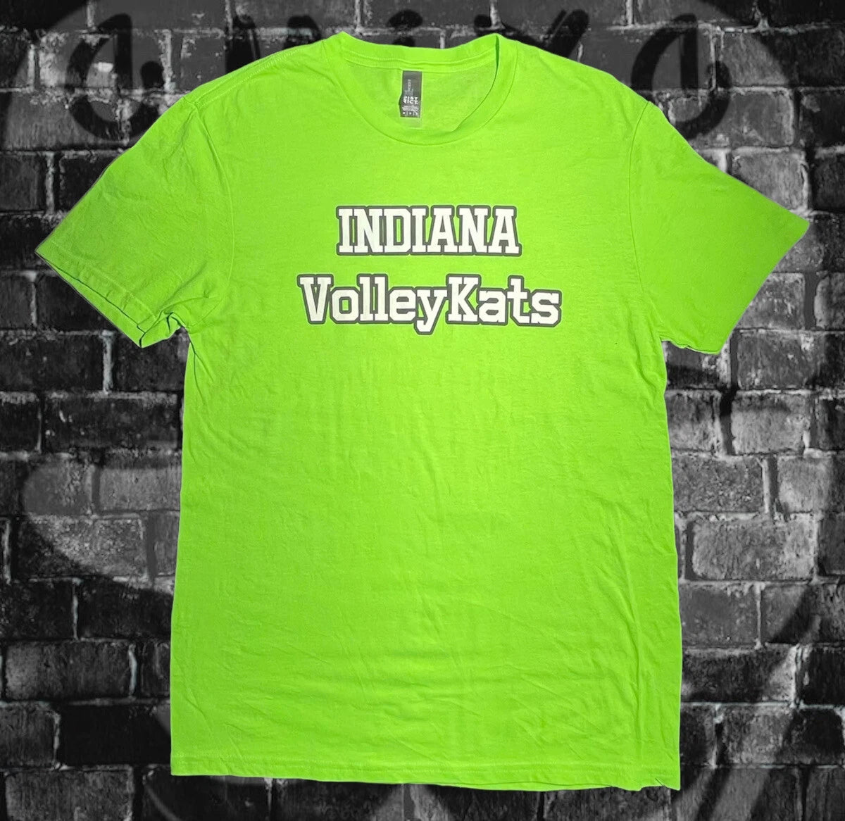 Indiana Volleykats Volley Ball NCAA USA Mens T-shirt M Graphic Print Vintage Y2K