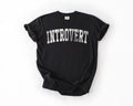 Introvert Shirt, Funny T Shirt, Introvert Humor, Retro Graphic Tee, Homebody