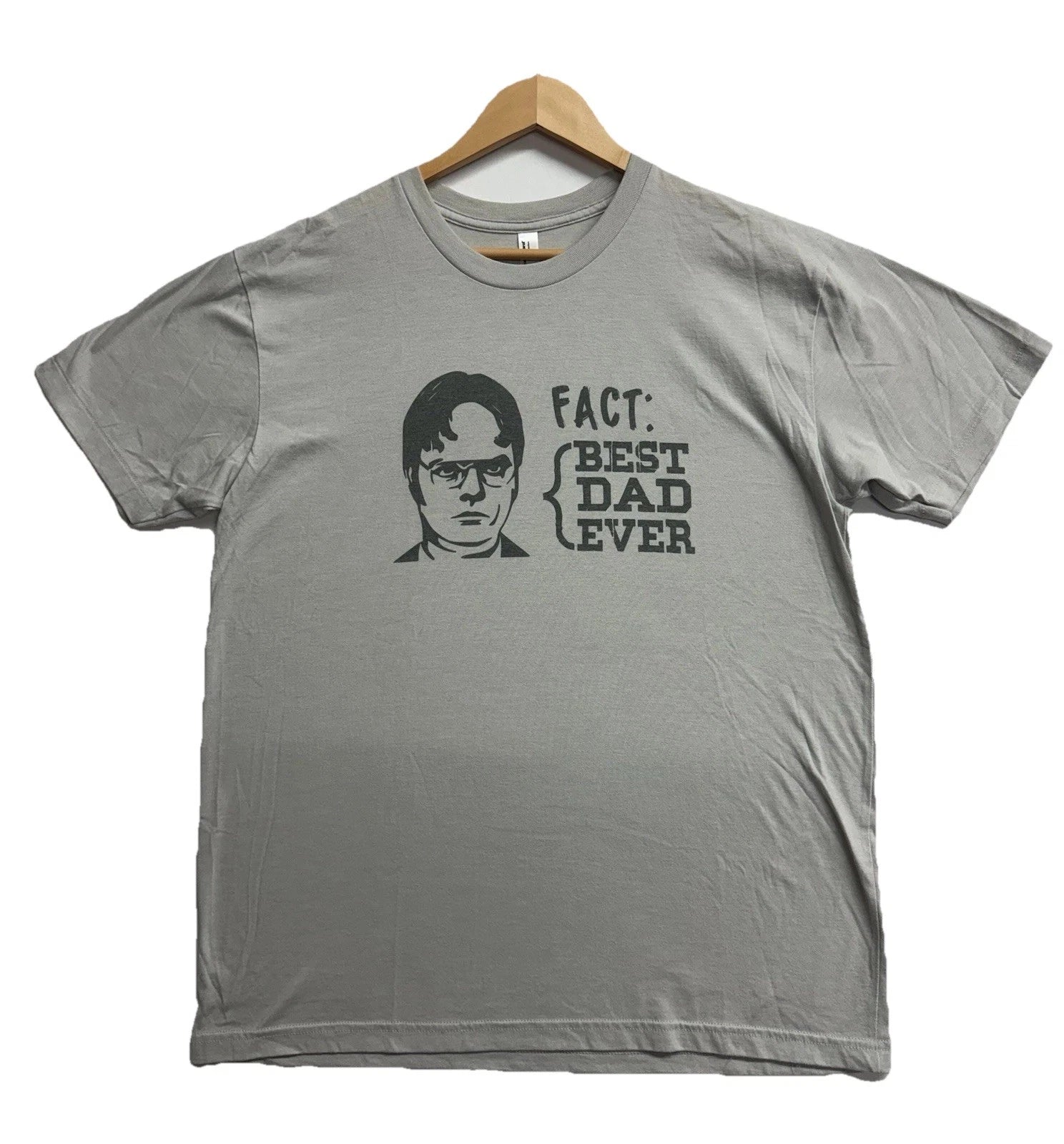 American apparel Dwight Schrute Men’s Tshirt Gray Father’s Day Size L Humor