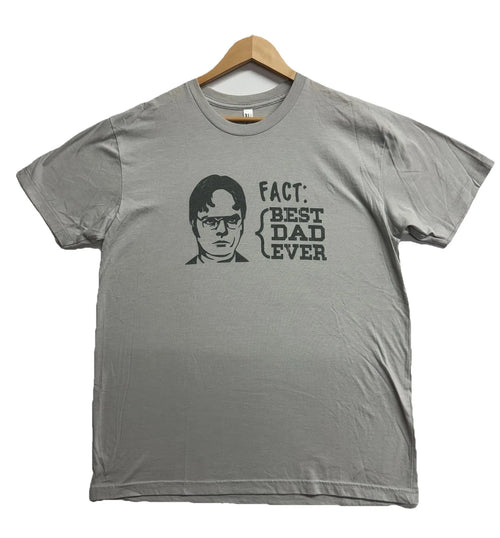 American apparel Dwight Schrute Men’s Tshirt Gray Father’s Day Size L Humor