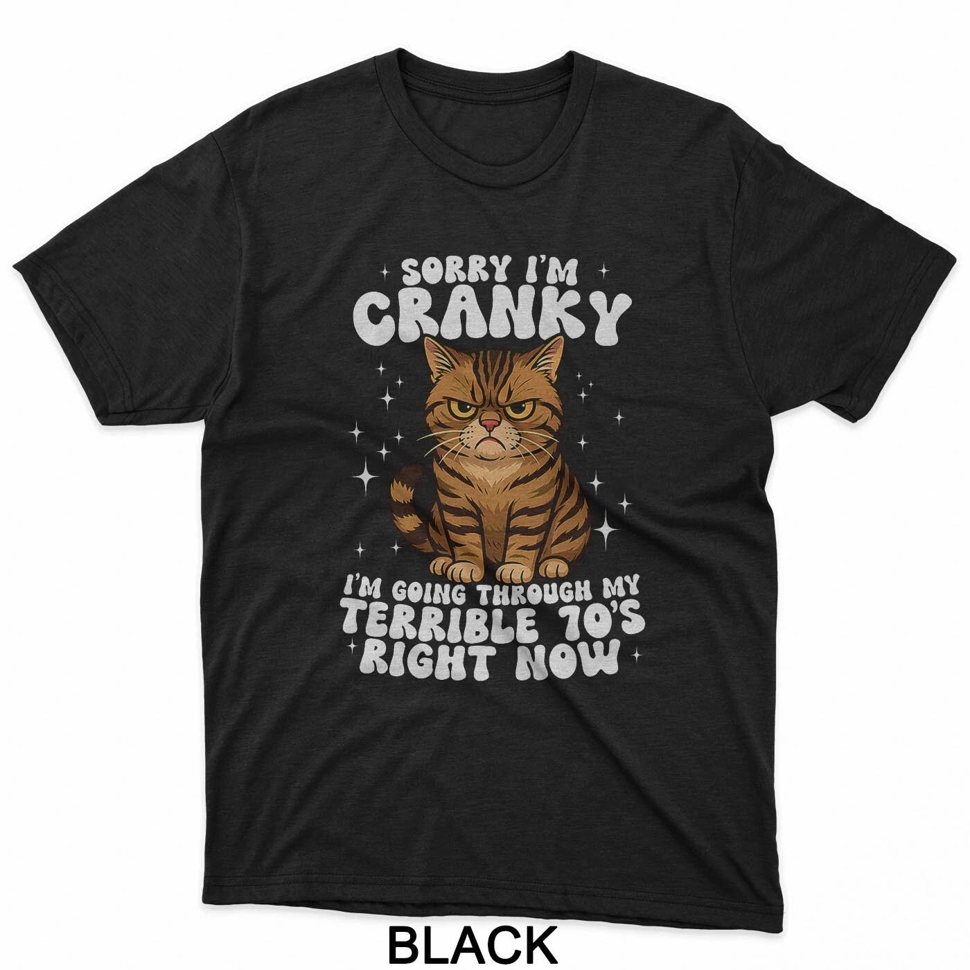Sorry I'm Cranky I'm Going Through My Terrible 70's Cat T-Shirt