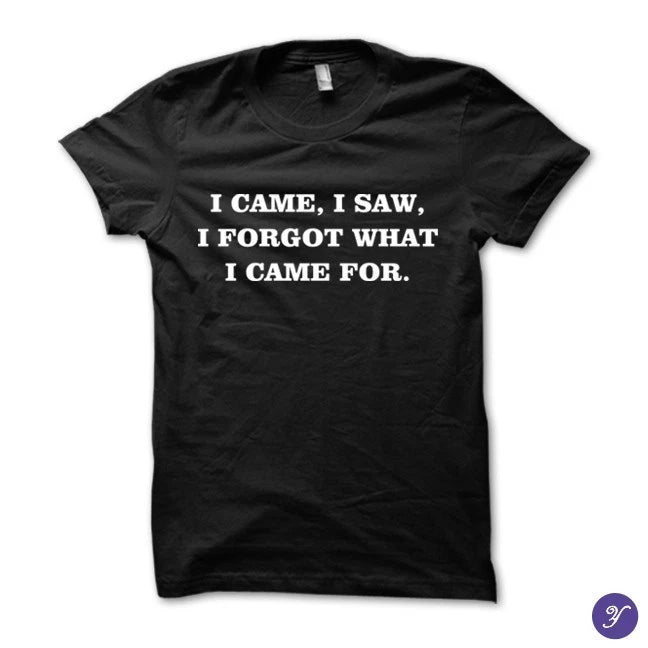 I Came I Saw I Forgot What I Came For tshirt - funny humor sarcasm tshirt