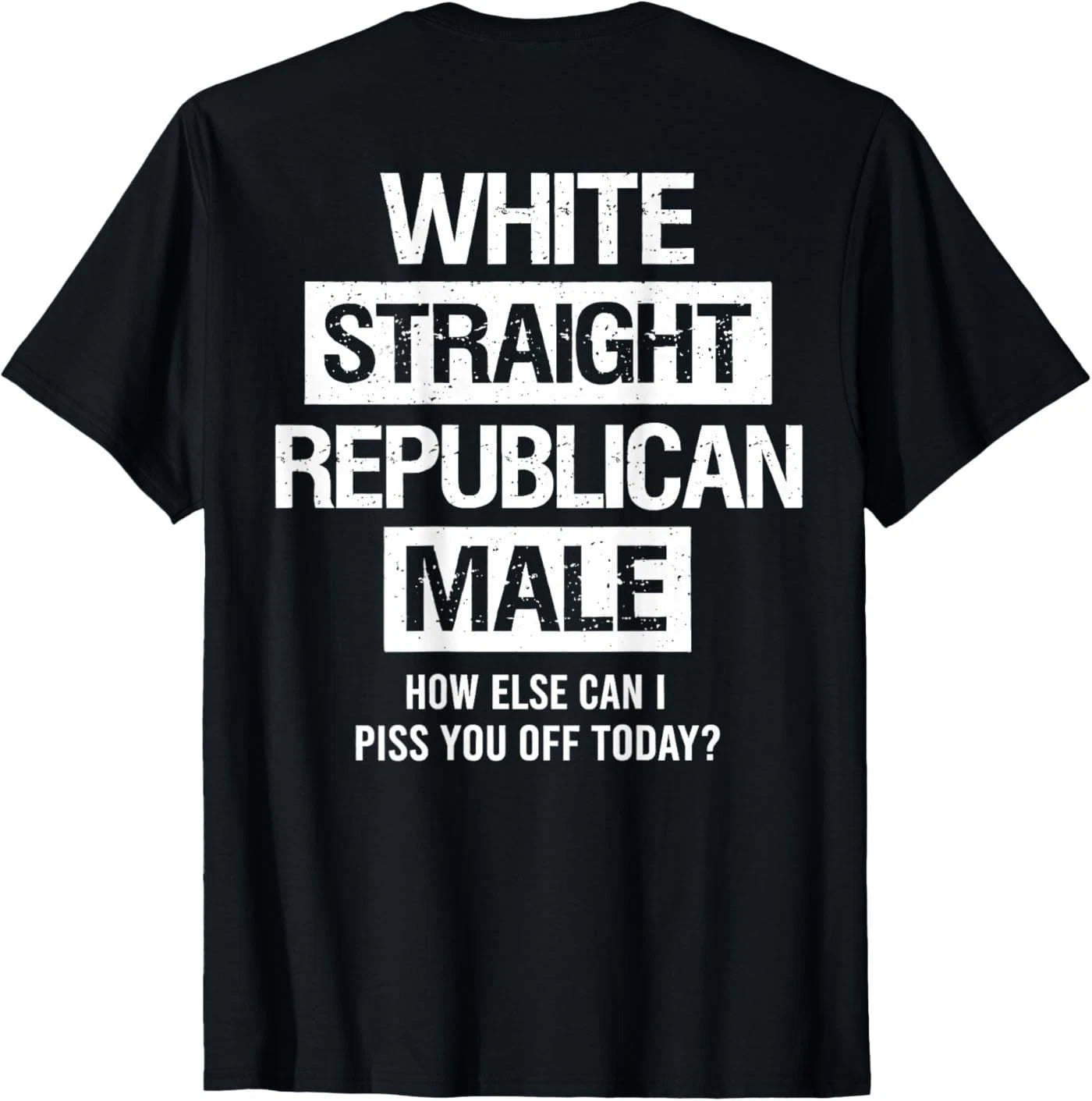 White Straight Republican Male Sarcastic Quote ( On Back ) T-Shirt