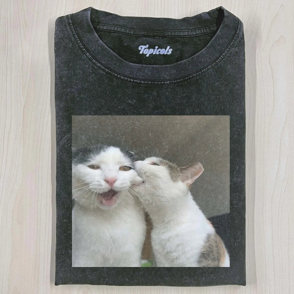 Funny Cat Meme Shirt Vintage Washed Graphic Tee Cat Lover Gift Unisex
