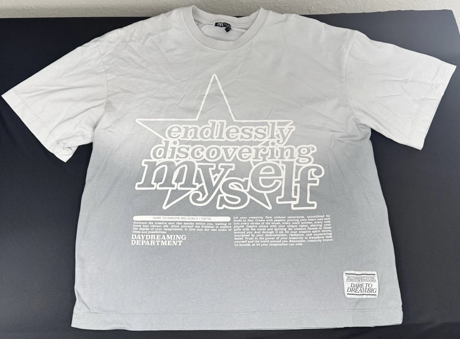 Zara  T-Shirt Mens Small Gray Endlessly Discovering Myself (NWOT) Item #01