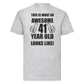 41st 41 Years Old Forty First Birthday Presents Mens Funny Awesome T-Shirt