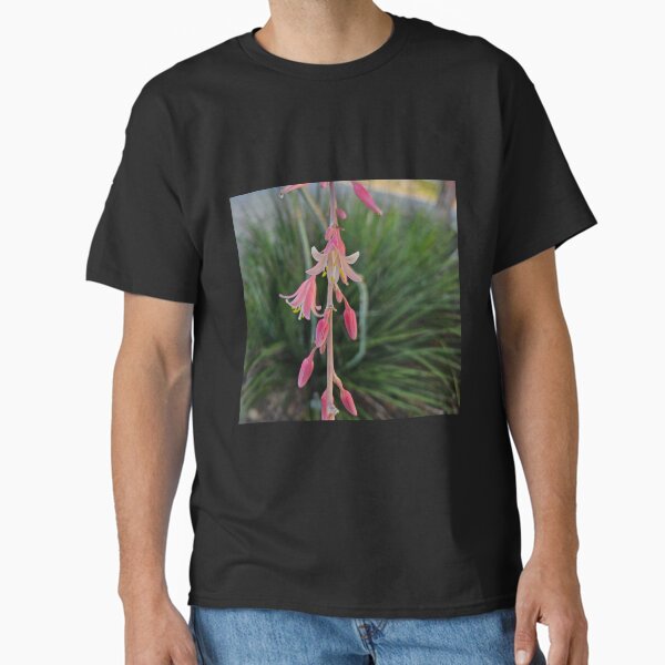 False Yucca Classic T-Shirt
