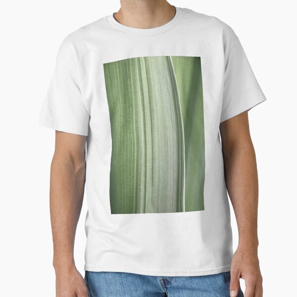 Abstract leaf - sage green boho leaves with stripes - nature and travel photography Classic T-Shirt