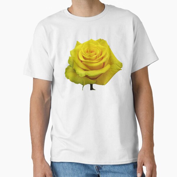 Yellow rose Classic T-Shirt