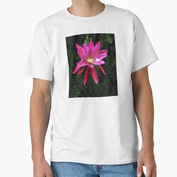 Cactus Flower in Full Bloom Classic T-Shirt