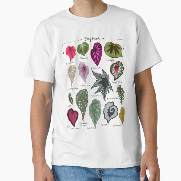 Begonia leaves species varieties art print botanical illustration Classic T-Shirt