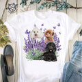 Poodle dog and butterflies � Dog lover