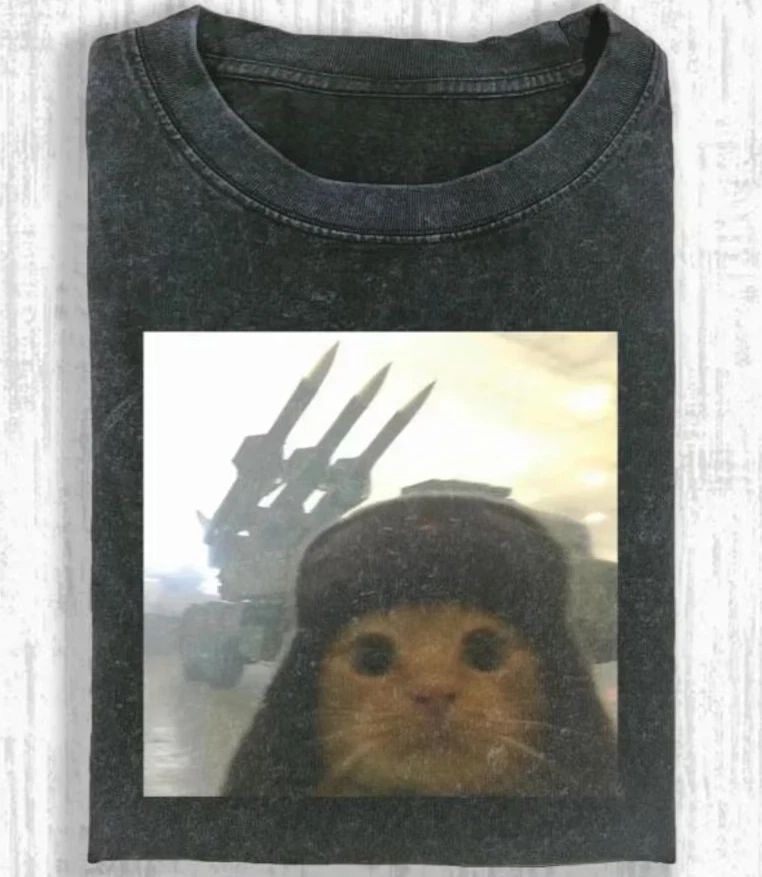 Vintage Wash Funny Army Cat Meme Shirt, Military Cat Aesthetic Tee, Gen Z Joke